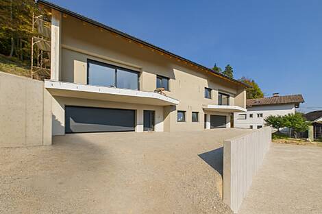 Дом на два хозяина Подутик.: 1