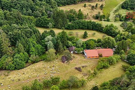 Дом, милый дом: 6