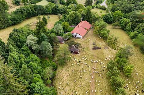 Дом, милый дом: 7