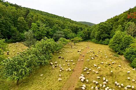 Дом, милый дом: 8