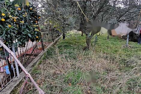 Изола, дом: 20