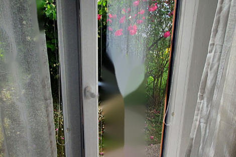 Дом Драгонья в три этажа: 5