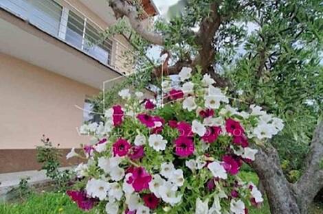 Дом, Порторож: 15