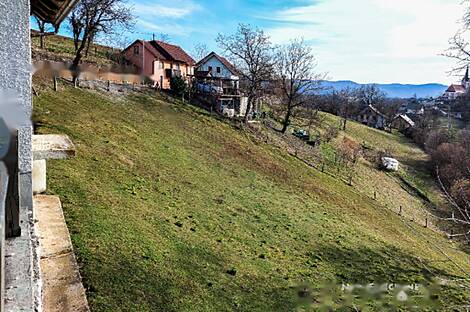 Усадьба 'Большой Цирник': 19