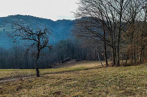 Усадьба 'Большой Цирник': 29