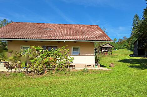 Усадьба и ферма в Гончаревой Долине: 3