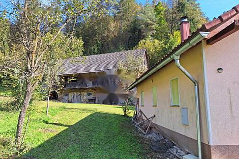 Усадьба и ферма в Гончаревой Долине: 6