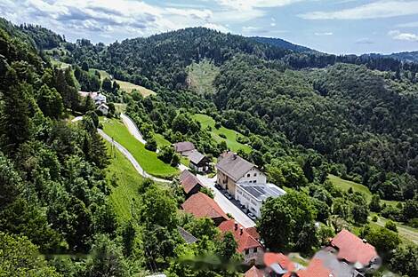 Усадьба, ферма Новое Польшник, дом 22.: 10