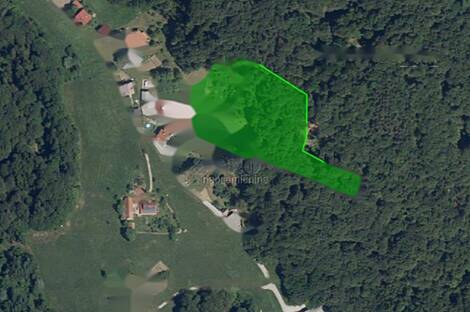 Усадьба, фермерское хозяйство, территория вокруг Полчаны.: 2