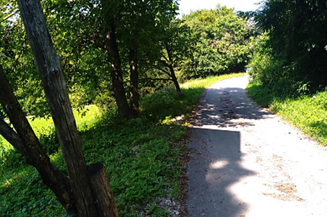 Ферма Преша, поместье: 2