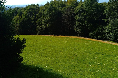 Ферма Преша, поместье: 4