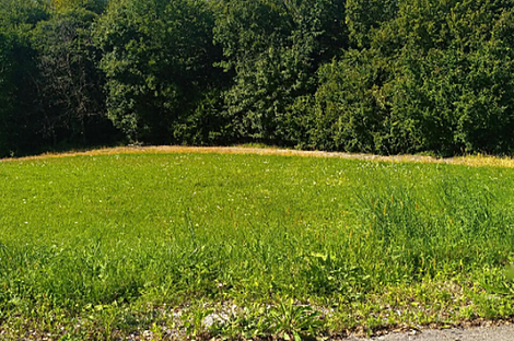 Ферма Преша, поместье: 5