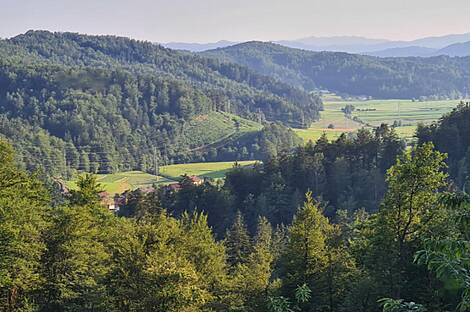 Мыза 'Кметияново Добрава': 1