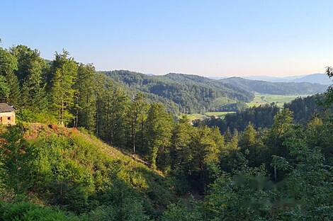 Мыза 'Кметияново Добрава': 4