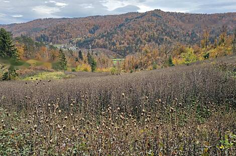 Мыза 'Кметияново Добрава': 6