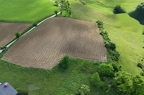 Владение, хозяйство Гробельце: 5