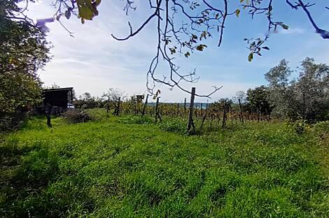 Ферма Сеча с видом на Сечовле расположена на участке.: 3