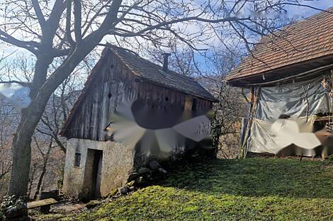 Усадьба, хозяйство Старый град: 9