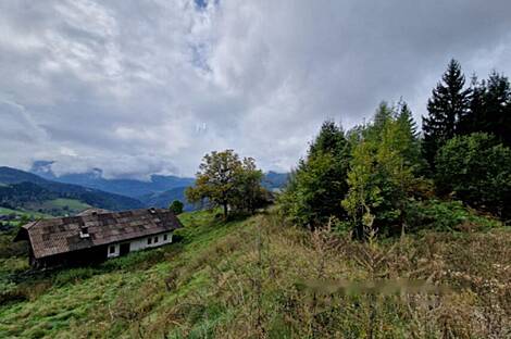 Владение, ферма Святого Иеронима возле Муты: 2