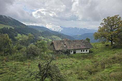 Владение, ферма Святого Иеронима возле Муты: 10