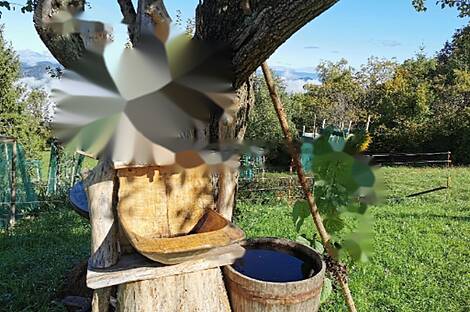 Дом, хозяйство на возвышенности.: 8