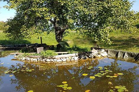 Дом, хозяйство на возвышенности.: 12