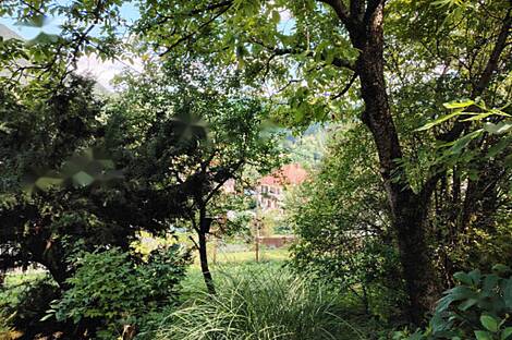 Храстник - усадьба, ферма.: 14