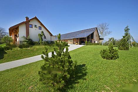 Усадьба Липоглав: спокойный, залитый солнцем уголок, окружённый природой: 3