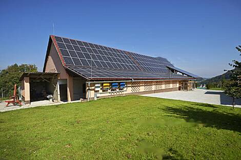 Усадьба Липоглав: спокойный, залитый солнцем уголок, окружённый природой: 6