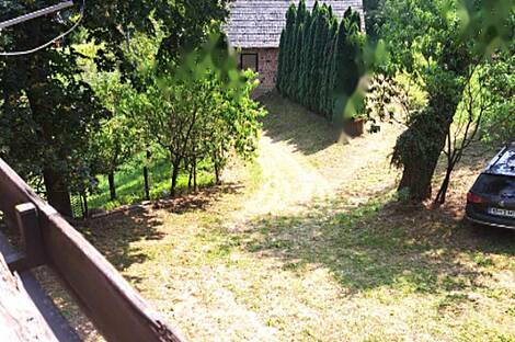 Ранчо, хозяйство Нарапле: 10