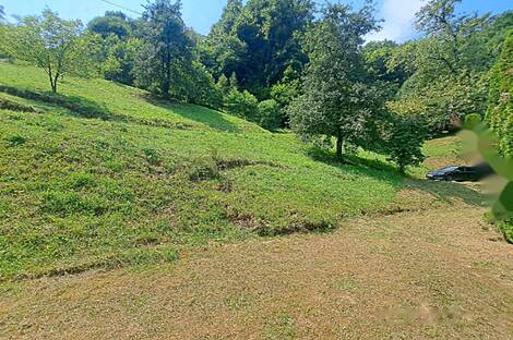 Ранчо, хозяйство Нарапле: 18