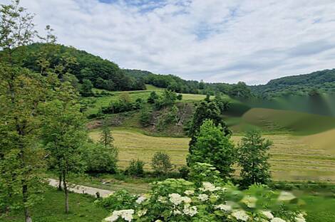 Усадьба на ферме Подсреда в Кожье.: 9