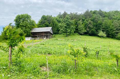 Усадьба на ферме Подсреда в Кожье.: 21