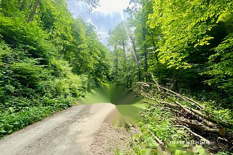 Усадьба на ферме Подсреда в Кожье.: 22