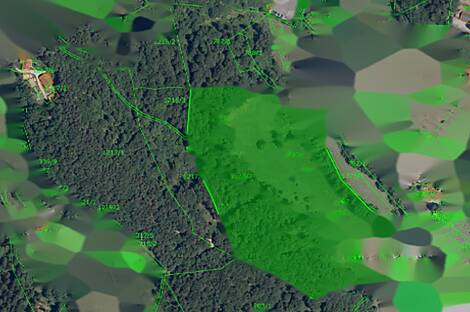 Земельный участок с домом, фермерское хозяйство в Зрече: 2