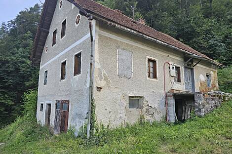 Земельный участок с домом, фермерское хозяйство в Зрече: 4