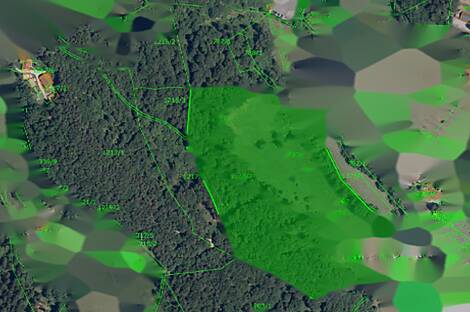 Земельный участок с домом, фермерское хозяйство в Зрече: 6