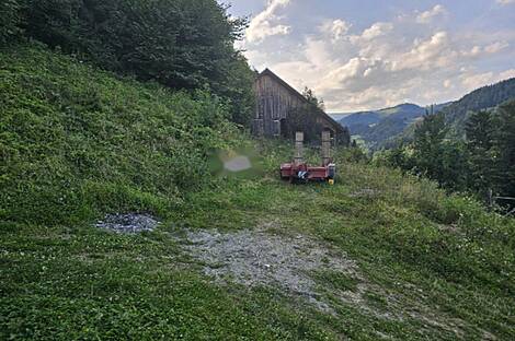 Земельный участок с домом, фермерское хозяйство в Зрече: 8