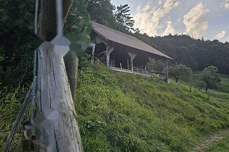 Земельный участок с домом, фермерское хозяйство в Зрече: 9