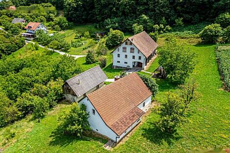 Рифникское имение и ферма, Шентюр возле Целе.: 5