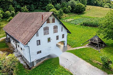 Рифникское имение и ферма, Шентюр возле Целе.: 6