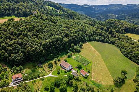 Рифникское имение и ферма, Шентюр возле Целе.: 9