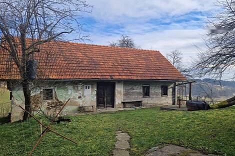 Усадьба Берёзова, ферма в Берёзовой.: 3