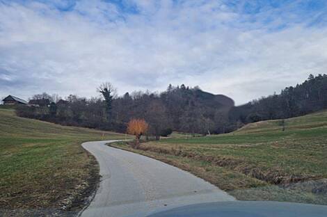 Усадьба Берёзова, ферма в Берёзовой.: 6