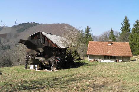 Мария Река, владение фермы.: 1