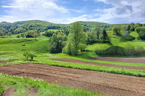 Дом в селе Конец рядом с Горянцами: 2