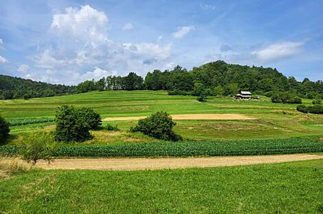 Дом в селе Конец рядом с Горянцами: 6