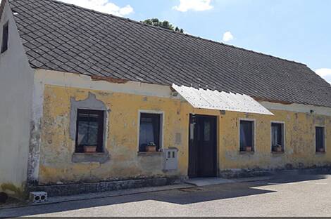 Усадьба и ферма по выращиванию орехов в Бизелье: 3