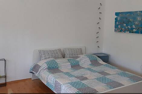 Усадьба и ферма по выращиванию орехов в Бизелье: 19