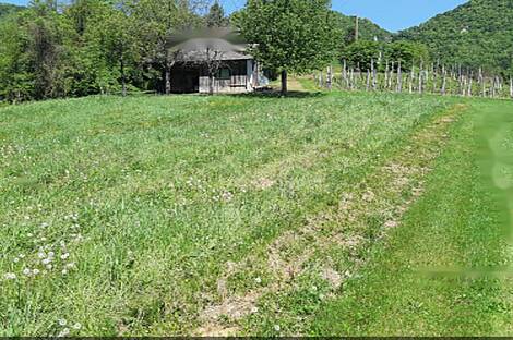 Усадьба и ферма по выращиванию орехов в Бизелье: 20